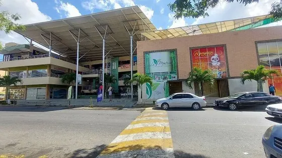 Np En Venta Local Comercial, Cc Brisas Del Valle, El Remanso, San Diego Código 318825