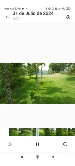 Terreno De 35 Tareas En Guaigui Con Excelente Ubicación Y Co