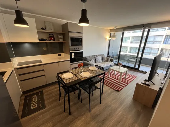 Hermoso Departamento Amoblado 2 Dormitorios Metro El Parrón