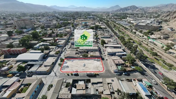 Id 44184 Chañarcillo #236, Copiapo