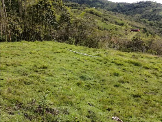 Venta De Lote Numero 2 La Milagrosa- Cocorná 