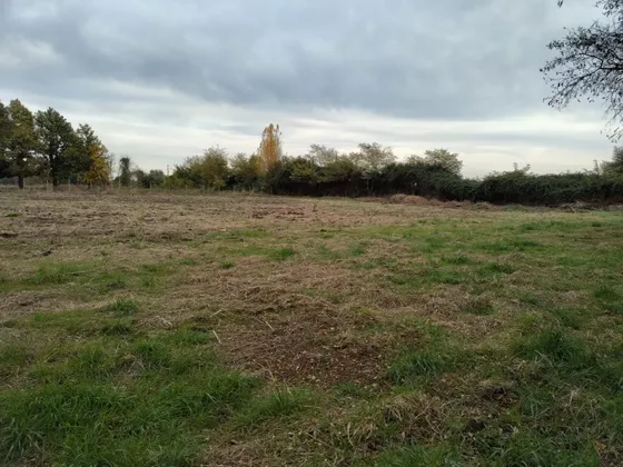 Parcela De 7.000 M2 En Venta En San Carlos
