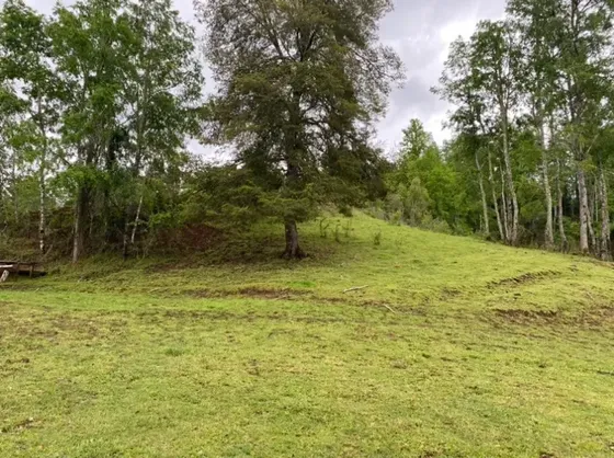 Venta De Parcela En Osorno $32.000.000