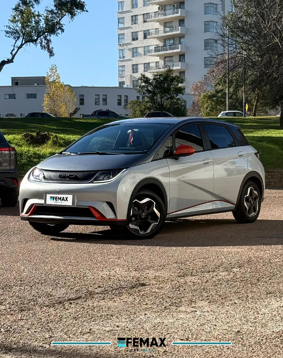 2023 BYD New E2