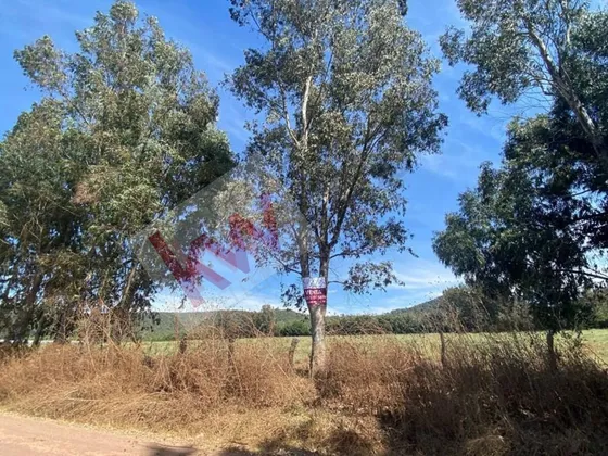 Venta De Terreno En Epenche Grande, Mazamitla, Ideal Para Inversionistas