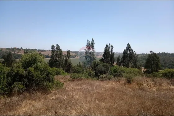 Parcela En Venta En Comunidad Alto Los Molles