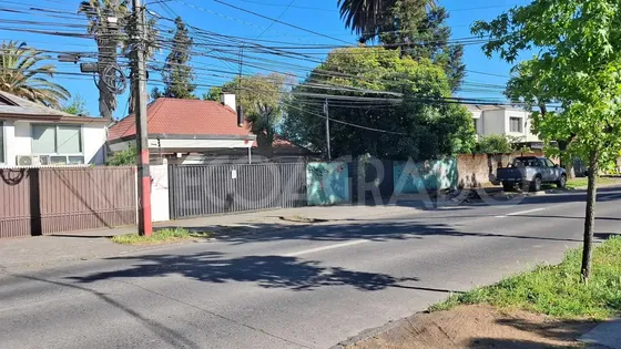 Arrienda Local Comercial Chillán (125149)