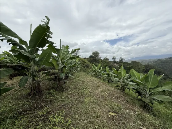 Se Vende Lote Independiente El Caimo Vista Panorámica 