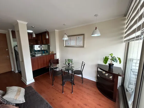 Arriendo Departamento Amoblado Plan De Viña Del Mar