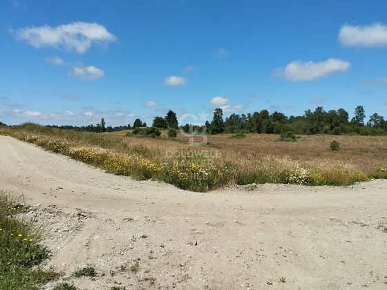 Parcela Cerca De Osorno. Camino Pto. Octay. Sector Pichil.
