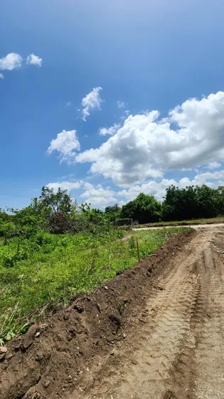 Vendo Solares En Sabana Toro San Cristóbal