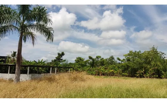 Venta- Lote Terreno-garzones -monteria