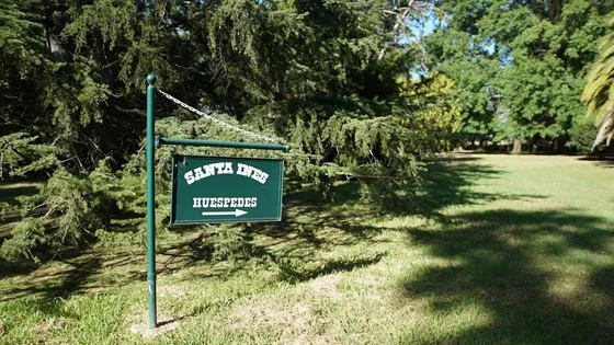 Campo De 95 Hectáreas En Lobos