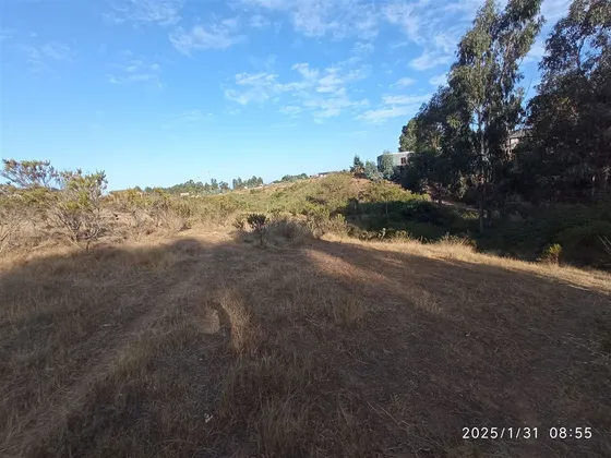 Terreno Ideal Para Construcción En Venta En Algarrobo
