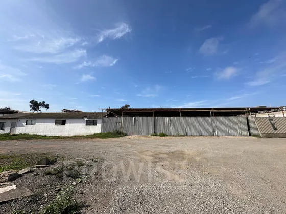 Arriendo Bodega Con Frigorifico Ruta 5 La Serena