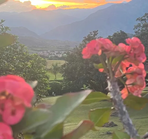 Venta De Finca - Venecia