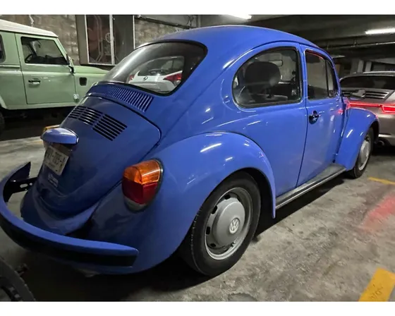 Volkswagen Vw Sedan Summer