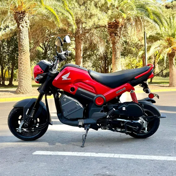 Honda Navi 110