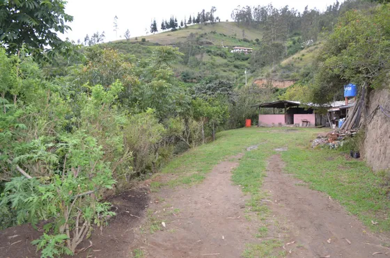 Hermoso Terreno En Venta Tumbaco