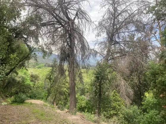 Oportunidad! Parcela En Condominio Las Majadas De Pirque