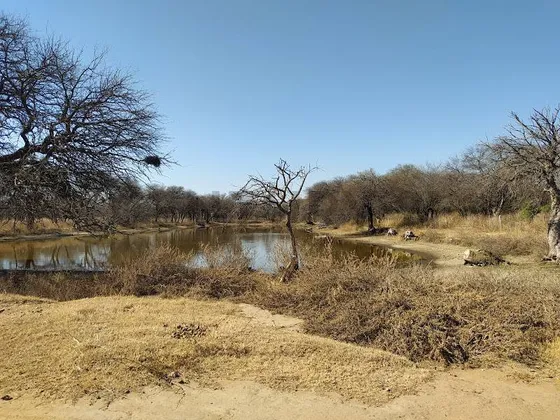 Venta De Campo Ganadero Y Casco De 160 M2