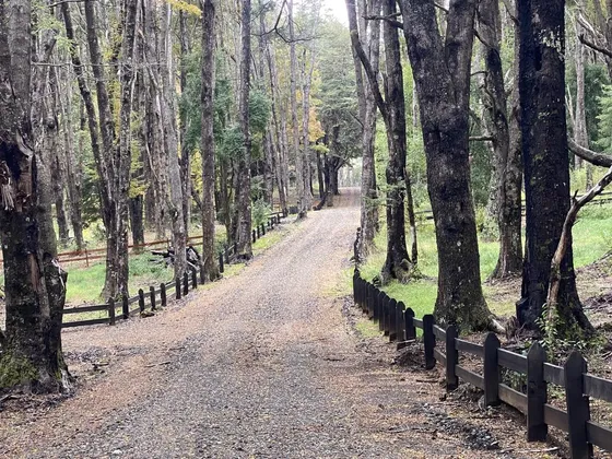 En Venta Hermosas Parcelas 5000 M2 En Salto La Princesa