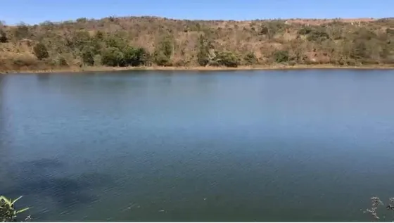Espetacular Fazenda De 691 Hectares Em Girassol Goiás