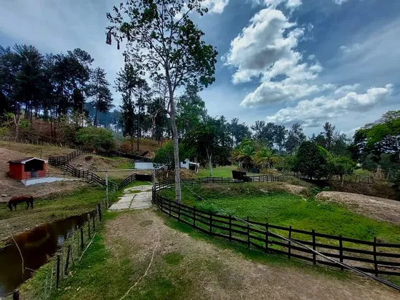 Grey Zuloaga Y Javier Philip Inzitu Realtors  Venden  Finca Ganadera En Miranda  Carabobo Venezuela