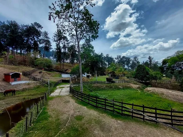 Grey Zuloaga Y Javier Philip Inzitu Realtors  Venden  Finca Ganadera En Miranda  Carabobo Venezuela