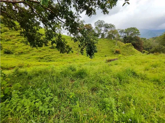 Lotes En Barbosa Vereda Aguas Claras 