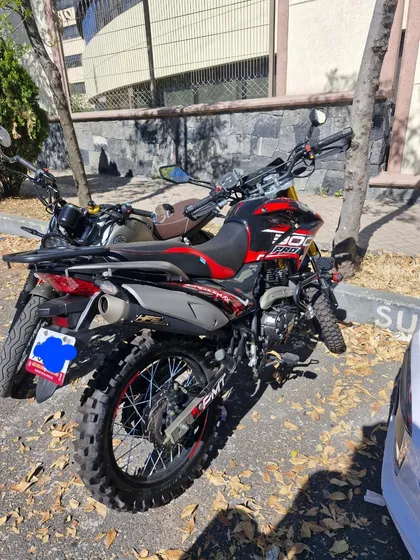 Crosmax 300 Pro 2024