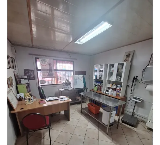 Vendo Clinica Veterinaria Y Hermosa Casa D° Llave Melipilla