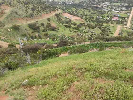 Parcela En Venta 5000m2 + Medidor Agua Y Luz En Curacaví