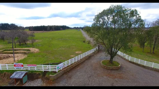 Parcela 5000 M2 Lago Ranco