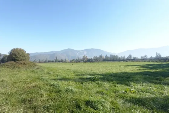 Agrícola En Arriendo A Largo O Mediano Plazo En El Monte