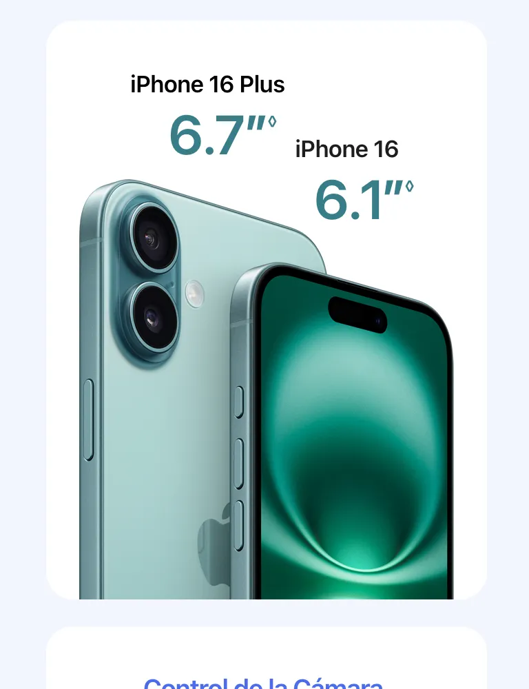 descripción