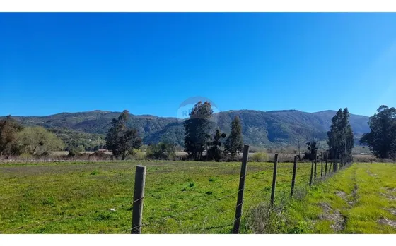 Vive La Tranquilidad En Santa Cruz