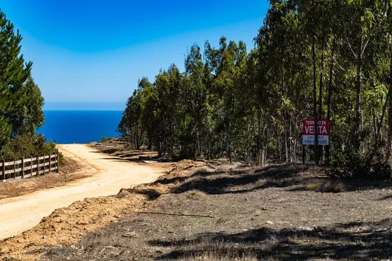 Hermosa Parcela De 5.000 M2 Sector Quincheumo - Pichilemu