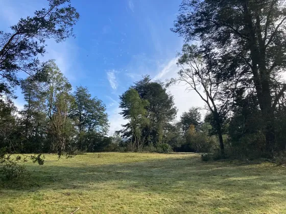 En Venta Parcela De 8.450 M2 En Punucapa, Valdivia