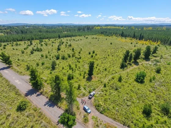 Terreno 7,5 Ha En Yumbel