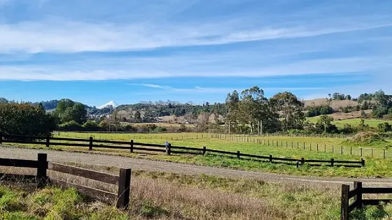 Parcela Con Linda Vista Al Volcán Osorno Y Campos