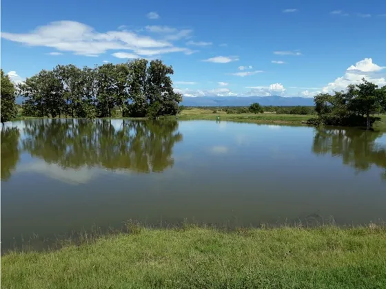 Finca En Venta En Saldaña  Tolima