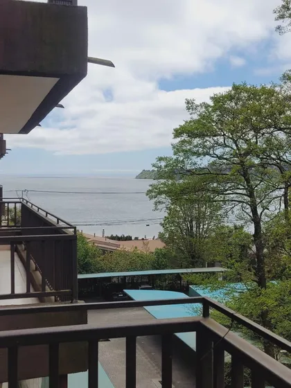 Estupendo Depto A Pasos Del Lago, Excelente Ubicación
