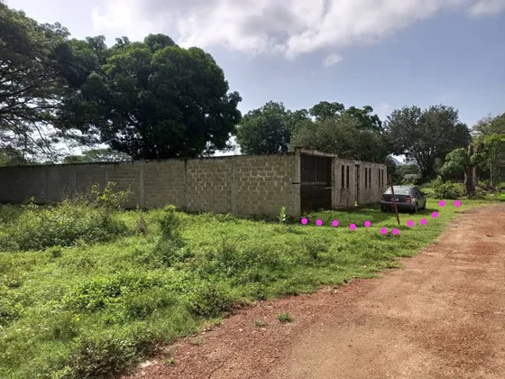 Parcela En Venta Yagua Sector El Merecure, Guacara Carabobo. L.m