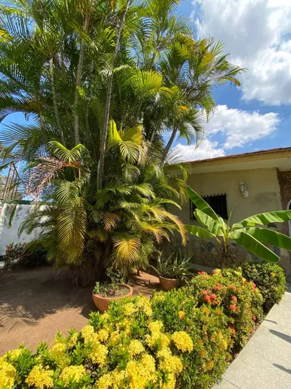 Jrico Vende Casa Comercial En El Morro San Diego Valencia 