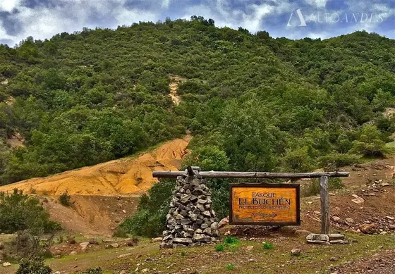 Sitio En Venta En Curicó Parque El Buchén, Campos Privados.