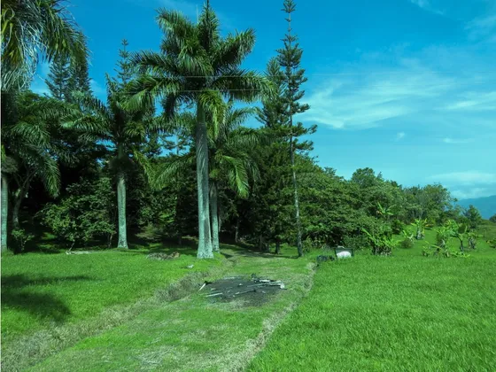 Venta De Finca Vereda Santa Rosa Arbelaez