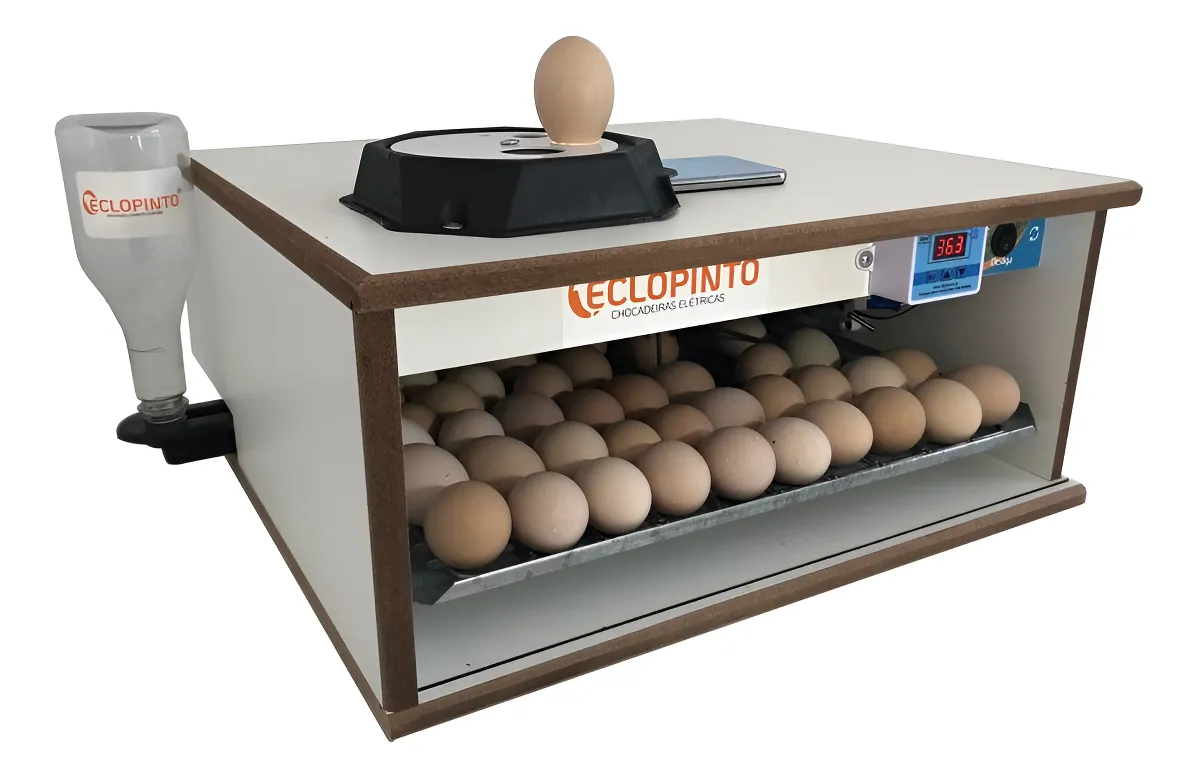 Chocadeira Eclopinto