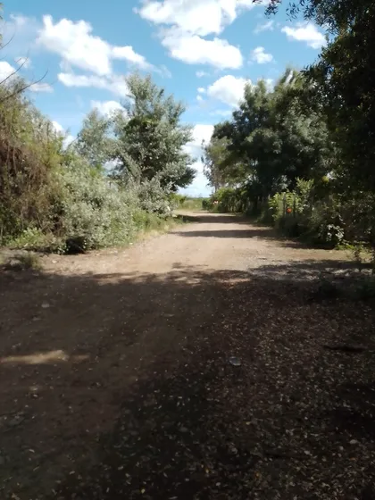 Parcela, Parral, Región Del Maule 