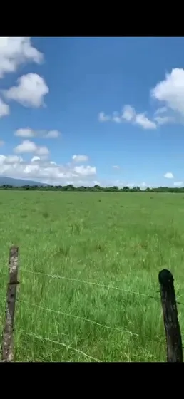 Te Vendo Finca De Animales En La Vega.